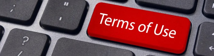 Security-First Web Application Development: How to Build Safe, Stable ...